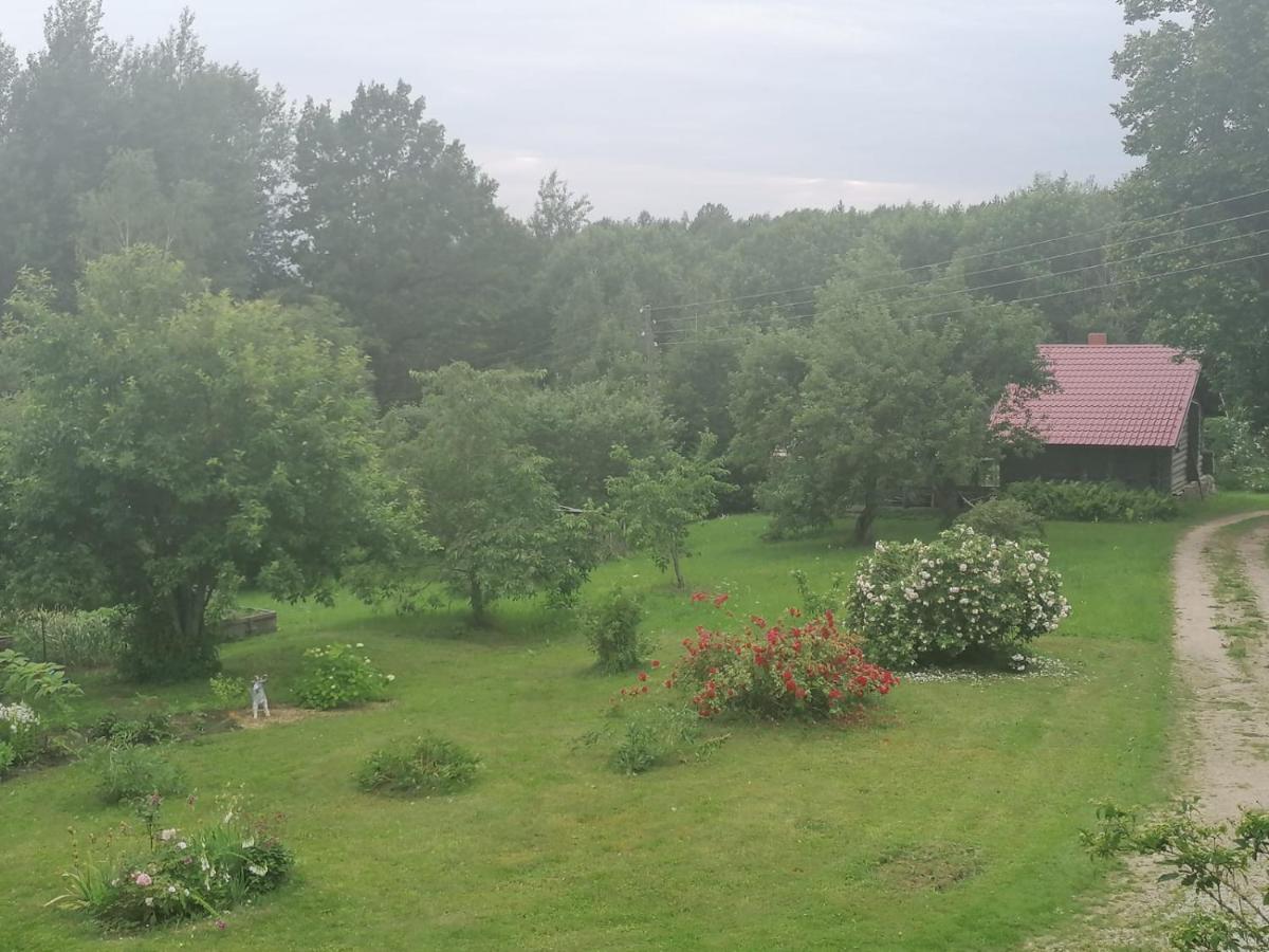 Country House Podini Apartamento Mālpils Exterior foto